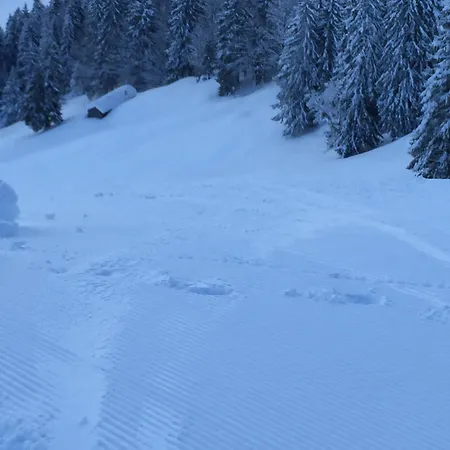 Haus Am Weissenbach Bad Hindelang