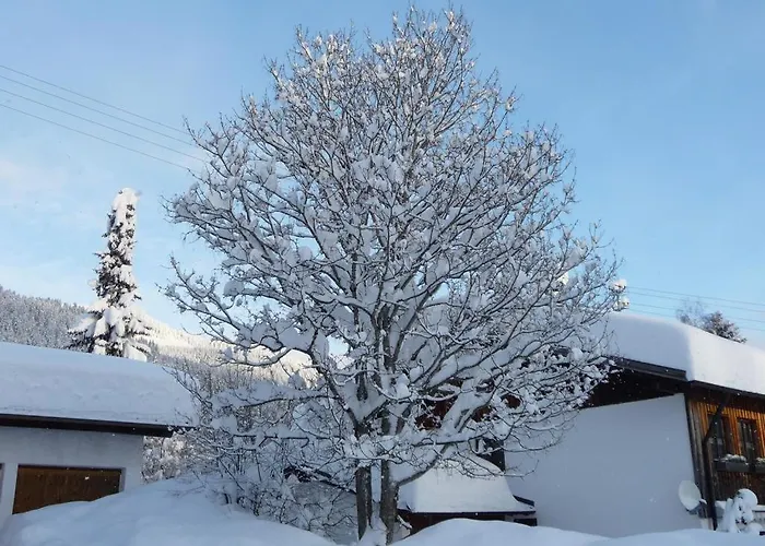 Haus Am Weissenbach Lejlighed *